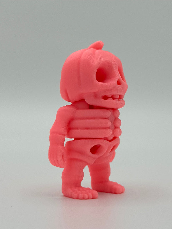 Tiny Pompoen Skeleton