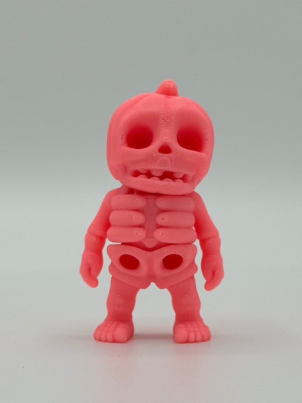Tiny Pompoen Skeleton